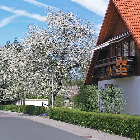 Ferienwohnung Am Schlosspark Шлиц Экстерьер фото