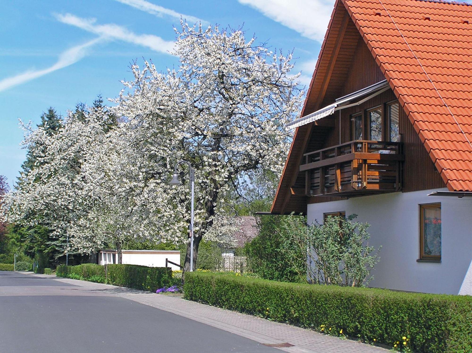 Ferienwohnung Am Schlosspark Шлиц Экстерьер фото